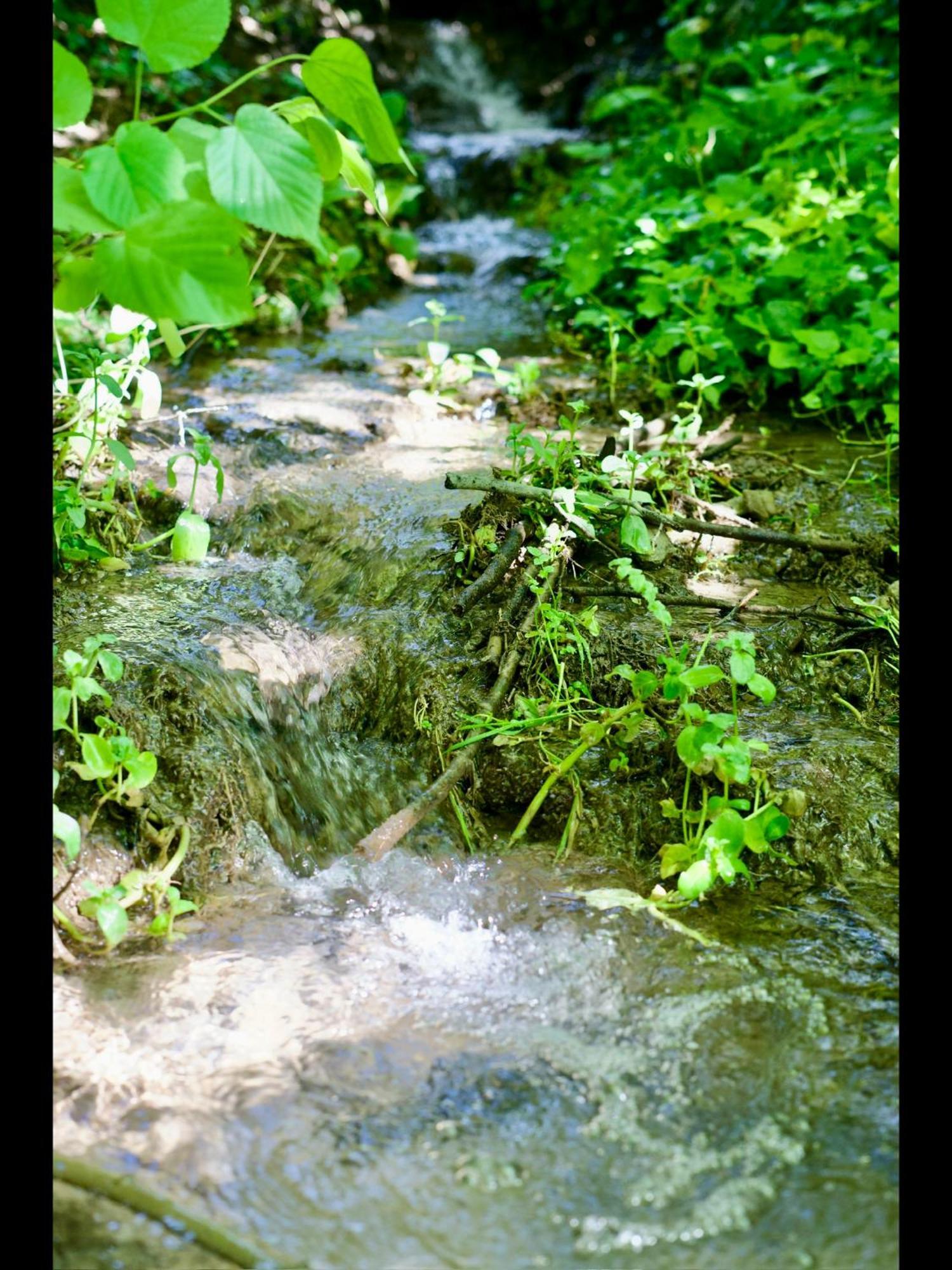 Appartamento Manoir Des Pavements Lisieux Esterno foto